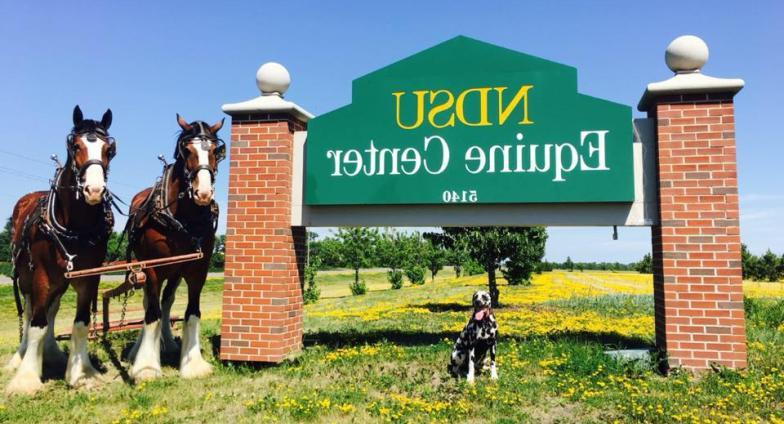 Horses and dog in front of Equine Center sign